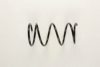 SUZUK 4111160G10 Coil Spring